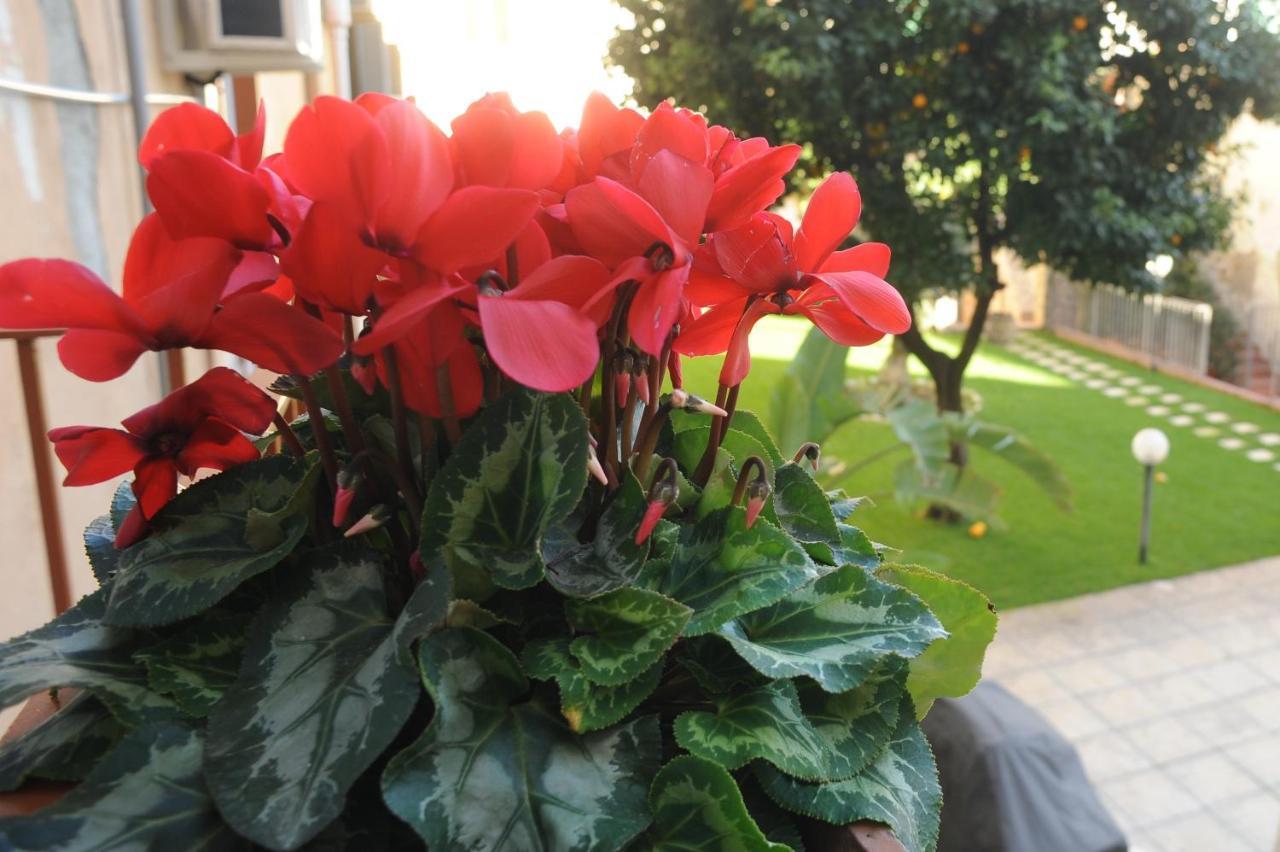 A Due Passi Dal Museo Bed & Breakfast Naples Exterior photo